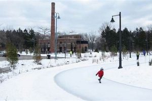 Best Skate Trails Near You: [City/Region] Skating Fun! | How to Skateboard: A Beginner's Guide to Your First Board & Tricks