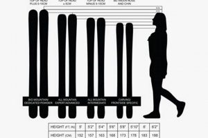 Skate Ski Size: What Size Skis Do I Need Guide? How to Skateboard: A Beginner's Guide to Your First Board & Tricks Skate Ski Size: What Size Skis Do I Need Guide? | How to Skateboard: A Beginner's Guide to Your First Board & Tricks