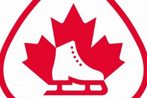 2024 Skate Canada Schedule: Your Skater's Guide! How to Skateboard: A Beginner's Guide to Your First Board & Tricks 2024 Skate Canada Schedule: Your Skater's Guide! | How to Skateboard: A Beginner's Guide to Your First Board & Tricks