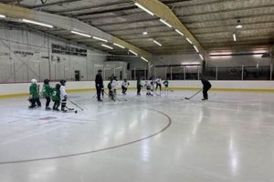 Your Guide: Skate Rink Stockton Fun & More! How to Skateboard: A Beginner's Guide to Your First Board & Tricks Your Guide: Skate Rink Stockton Fun & More! | How to Skateboard: A Beginner's Guide to Your First Board & Tricks