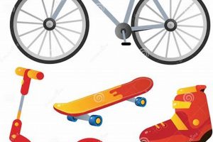 Skater's Bikes & Skates: Gear Up & Roll Out! | How to Skateboard: A Beginner's Guide to Your First Board & Tricks