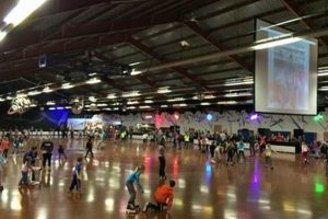 Palatine's Orbit Skate Center: Your Skate Destination How to Skateboard: A Beginner's Guide to Your First Board & Tricks Palatine's Orbit Skate Center: Your Skate Destination | How to Skateboard: A Beginner's Guide to Your First Board & Tricks