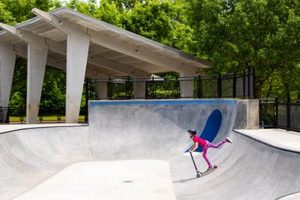Arlington VA Skate Parks: Your Local Spot! How to Skateboard: A Beginner's Guide to Your First Board & Tricks Arlington VA Skate Parks: Your Local Spot! | How to Skateboard: A Beginner's Guide to Your First Board & Tricks