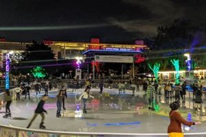 Glide into Winter: Discovery Green Ice Skate Fun! How to Skateboard: A Beginner's Guide to Your First Board & Tricks Glide into Winter: Discovery Green Ice Skate Fun! | How to Skateboard: A Beginner's Guide to Your First Board & Tricks