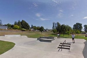 Your Guide: Best Skate Parks in Washington State Today How to Skateboard: A Beginner's Guide to Your First Board & Tricks Your Guide: Best Skate Parks in Washington State Today | How to Skateboard: A Beginner's Guide to Your First Board & Tricks