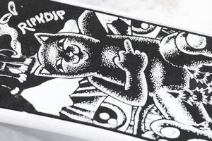 Gear Up: Skate Ripndip Decks & More for Skaters! How to Skateboard: A Beginner's Guide to Your First Board & Tricks Gear Up: Skate Ripndip Decks & More for Skaters! | How to Skateboard: A Beginner's Guide to Your First Board & Tricks