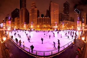 Best Chicago Rink Skates: Glide & Groove! How to Skateboard: A Beginner's Guide to Your First Board & Tricks Best Chicago Rink Skates: Glide & Groove! | How to Skateboard: A Beginner's Guide to Your First Board & Tricks