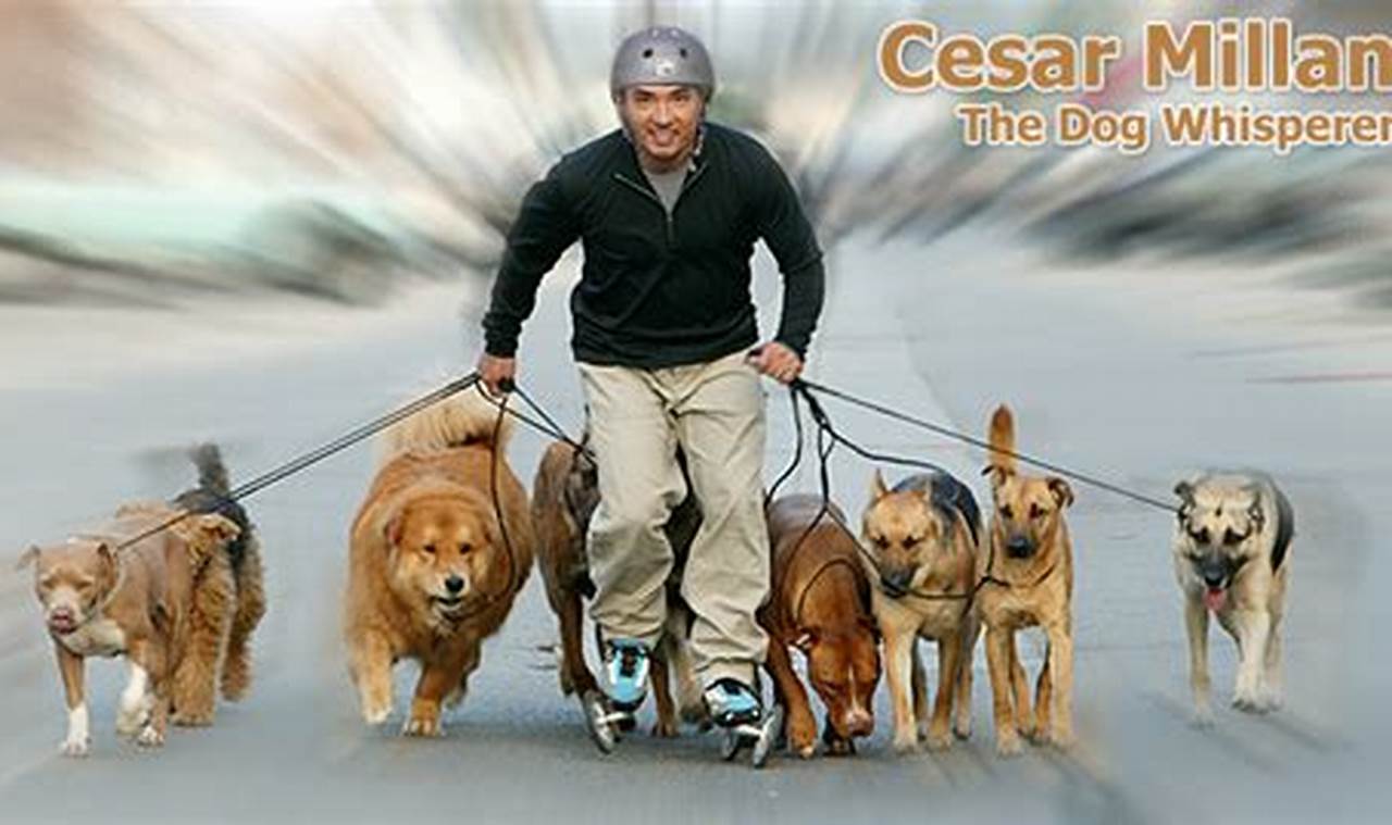 Cesar Millan Inline Skates: Train & Skate Together! How to Skateboard: A Beginner's Guide to Your First Board & Tricks Cesar Millan Inline Skates: Train & Skate Together! | How to Skateboard: A Beginner's Guide to Your First Board & Tricks