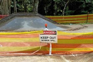 Skate Gear May Leak! Stop the Skateboarding Spoilers How to Skateboard: A Beginner's Guide to Your First Board & Tricks Skate Gear May Leak! Stop the Skateboarding Spoilers | How to Skateboard: A Beginner's Guide to Your First Board & Tricks