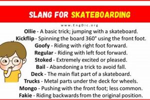 Skater Lingo: The Ultimate Guide to Skateboarding Slang How to Skateboard: A Beginner's Guide to Your First Board & Tricks Skater Lingo: The Ultimate Guide to Skateboarding Slang | How to Skateboard: A Beginner's Guide to Your First Board & Tricks