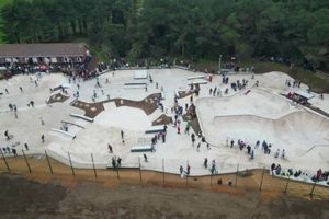 Your Guide: Best NJ Skate Park Destinations Near You How to Skateboard: A Beginner's Guide to Your First Board & Tricks Your Guide: Best NJ Skate Park Destinations Near You | How to Skateboard: A Beginner's Guide to Your First Board & Tricks