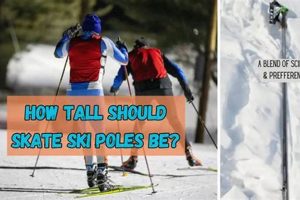 Best Skate Ski Poles: Reviews & Buying Guide | How to Skateboard: A Beginner's Guide to Your First Board & Tricks