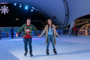 Learn Tampa Ice Skate: Rinks, Lessons & More! How to Skateboard: A Beginner's Guide to Your First Board & Tricks Learn Tampa Ice Skate: Rinks, Lessons & More! | How to Skateboard: A Beginner's Guide to Your First Board & Tricks