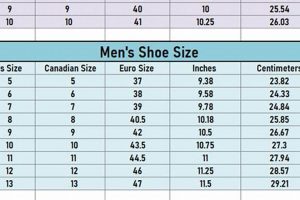 Find Your Fit: Inline Skate Size Chart Guide [Year] | How to Skateboard: A Beginner's Guide to Your First Board & Tricks