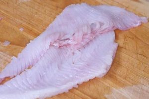 Skate Fish Fillet: The Skater's Lean Protein How to Skateboard: A Beginner's Guide to Your First Board & Tricks Skate Fish Fillet: The Skater's Lean Protein | How to Skateboard: A Beginner's Guide to Your First Board & Tricks