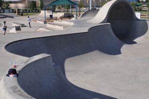 Your Guide to Skate Parks in Round Rock, TX How to Skateboard: A Beginner's Guide to Your First Board & Tricks Your Guide to Skate Parks in Round Rock, TX | How to Skateboard: A Beginner's Guide to Your First Board & Tricks