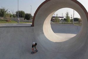 Best Round Rock, TX Skate Parks: Your Guide + More! How to Skateboard: A Beginner's Guide to Your First Board & Tricks Best Round Rock, TX Skate Parks: Your Guide + More! | How to Skateboard: A Beginner's Guide to Your First Board & Tricks