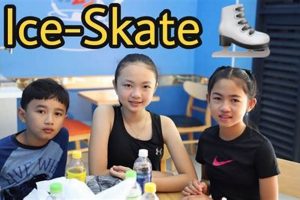 Elevate Figure Skate Training: Drills & Secrets How to Skateboard: A Beginner's Guide to Your First Board & Tricks Elevate Figure Skate Training: Drills & Secrets | How to Skateboard: A Beginner's Guide to Your First Board & Tricks