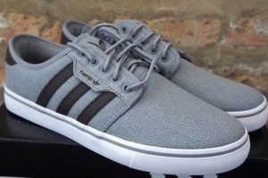 Find Your Fit: Most Comfy Skate Shoes Reviewed [Guide] | How to Skateboard: A Beginner's Guide to Your First Board & Tricks
