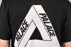Gear Up! Palace Skate Shirt Style for Skaters How to Skateboard: A Beginner's Guide to Your First Board & Tricks Gear Up! Palace Skate Shirt Style for Skaters | How to Skateboard: A Beginner's Guide to Your First Board & Tricks