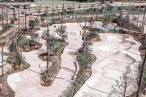 Best Gathering Place Skate Park: Tips & Tricks How to Skateboard: A Beginner's Guide to Your First Board & Tricks Best Gathering Place Skate Park: Tips & Tricks | How to Skateboard: A Beginner's Guide to Your First Board & Tricks