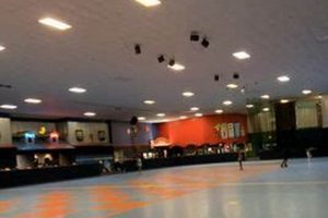 Gainesville Skate Station: Your Ultimate Skating Fun! How to Skateboard: A Beginner's Guide to Your First Board & Tricks Gainesville Skate Station: Your Ultimate Skating Fun! | How to Skateboard: A Beginner's Guide to Your First Board & Tricks