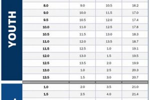 Bauer Youth Skate Size Chart: Get The Perfect Fit! How to Skateboard: A Beginner's Guide to Your First Board & Tricks Bauer Youth Skate Size Chart: Get The Perfect Fit! | How to Skateboard: A Beginner's Guide to Your First Board & Tricks