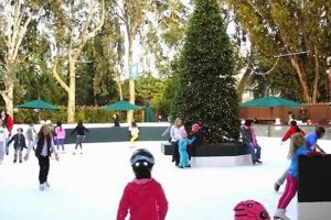 Pondering Palo Alto Ice Skate Fun & Fitness? How to Skateboard: A Beginner's Guide to Your First Board & Tricks Pondering Palo Alto Ice Skate Fun & Fitness? | How to Skateboard: A Beginner's Guide to Your First Board & Tricks