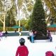 Pondering Palo Alto Ice Skate Fun & Fitness? | How to Skateboard: A Beginner's Guide to Your First Board & Tricks