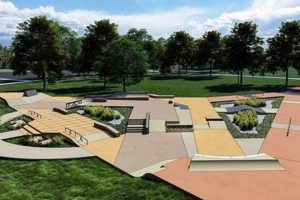 Visit Chandler Skate Park: Guide & Tips [Year] | How to Skateboard: A Beginner's Guide to Your First Board & Tricks