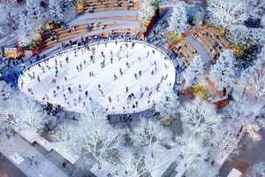 Brooklyn Skate Scene: Domino Park Skateboarding Guide How to Skateboard: A Beginner's Guide to Your First Board & Tricks Brooklyn Skate Scene: Domino Park Skateboarding Guide | How to Skateboard: A Beginner's Guide to Your First Board & Tricks