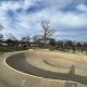 Clawson Skate Park: Your Guide to Clawson's Best Park | How to Skateboard: A Beginner's Guide to Your First Board & Tricks