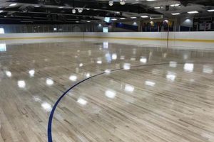 Best Skate Rink in Raleigh NC: Fun For All! How to Skateboard: A Beginner's Guide to Your First Board & Tricks Best Skate Rink in Raleigh NC: Fun For All! | How to Skateboard: A Beginner's Guide to Your First Board & Tricks
