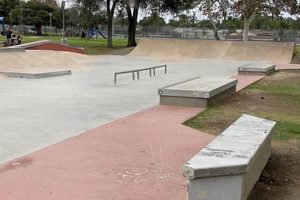 Visit Washington Park Skate Park: Thrills & Community! How to Skateboard: A Beginner's Guide to Your First Board & Tricks Visit Washington Park Skate Park: Thrills & Community! | How to Skateboard: A Beginner's Guide to Your First Board & Tricks