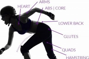 Roll Into Shape: Roller Skates for Fitness Fun! How to Skateboard: A Beginner's Guide to Your First Board & Tricks Roll Into Shape: Roller Skates for Fitness Fun! | How to Skateboard: A Beginner's Guide to Your First Board & Tricks