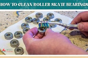 Easy Roll: How to Clean Roller Skate Bearings Fast! How to Skateboard: A Beginner's Guide to Your First Board & Tricks Easy Roll: How to Clean Roller Skate Bearings Fast! | How to Skateboard: A Beginner's Guide to Your First Board & Tricks