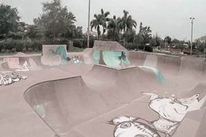 Sarasota Skate Parks: Your Guide to Florida's Best How to Skateboard: A Beginner's Guide to Your First Board & Tricks Sarasota Skate Parks: Your Guide to Florida's Best | How to Skateboard: A Beginner's Guide to Your First Board & Tricks