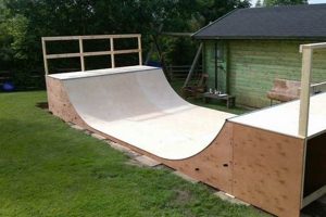 Build Your Mini Skate Ramp Oasis: Plans & More How to Skateboard: A Beginner's Guide to Your First Board & Tricks Build Your Mini Skate Ramp Oasis: Plans & More | How to Skateboard: A Beginner's Guide to Your First Board & Tricks