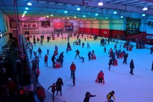 Find an Ice Skating Public Skate Near Me: Rinks & Fun! How to Skateboard: A Beginner's Guide to Your First Board & Tricks Find an Ice Skating Public Skate Near Me: Rinks & Fun! | How to Skateboard: A Beginner's Guide to Your First Board & Tricks