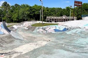Best Skate World Jacksonville Florida: Rinks & Fun! How to Skateboard: A Beginner's Guide to Your First Board & Tricks Best Skate World Jacksonville Florida: Rinks & Fun! | How to Skateboard: A Beginner's Guide to Your First Board & Tricks