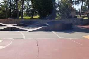 Explore: City of Forsyth Skate Park - Fun for All! How to Skateboard: A Beginner's Guide to Your First Board & Tricks Explore: City of Forsyth Skate Park - Fun for All! | How to Skateboard: A Beginner's Guide to Your First Board & Tricks