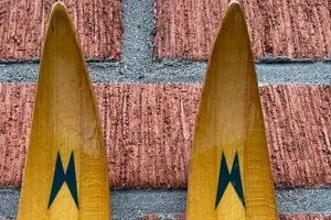 Best Cross Country Skate Skis for Speed & Endurance How to Skateboard: A Beginner's Guide to Your First Board & Tricks Best Cross Country Skate Skis for Speed & Endurance | How to Skateboard: A Beginner's Guide to Your First Board & Tricks