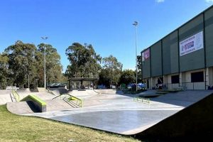Visit Green Bay Skate Park: Your Ultimate Guide! How to Skateboard: A Beginner's Guide to Your First Board & Tricks Visit Green Bay Skate Park: Your Ultimate Guide! | How to Skateboard: A Beginner's Guide to Your First Board & Tricks