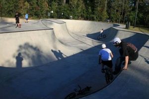 Best Skate Parks in Woodlands TX: Your Ultimate Guide How to Skateboard: A Beginner's Guide to Your First Board & Tricks Best Skate Parks in Woodlands TX: Your Ultimate Guide | How to Skateboard: A Beginner's Guide to Your First Board & Tricks
