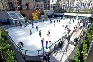 Glide into Fun: Northtown Ice Rink Open Skate Times! How to Skateboard: A Beginner's Guide to Your First Board & Tricks Glide into Fun: Northtown Ice Rink Open Skate Times! | How to Skateboard: A Beginner's Guide to Your First Board & Tricks