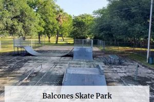 Explore Balcones Skate Park: Austin's Thrilling Ride How to Skateboard: A Beginner's Guide to Your First Board & Tricks Explore Balcones Skate Park: Austin's Thrilling Ride | How to Skateboard: A Beginner's Guide to Your First Board & Tricks