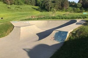 Boost Your Uprise Skate Skills: Tips & Tricks How to Skateboard: A Beginner's Guide to Your First Board & Tricks Boost Your Uprise Skate Skills: Tips & Tricks | How to Skateboard: A Beginner's Guide to Your First Board & Tricks