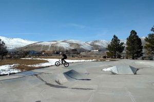 Skate Silver Lake: Park Life & Beyond! How to Skateboard: A Beginner's Guide to Your First Board & Tricks Skate Silver Lake: Park Life & Beyond! | How to Skateboard: A Beginner's Guide to Your First Board & Tricks
