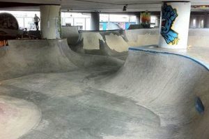 Your Guide to Seattle Skate Parks: Best Spots + More! How to Skateboard: A Beginner's Guide to Your First Board & Tricks Your Guide to Seattle Skate Parks: Best Spots + More! | How to Skateboard: A Beginner's Guide to Your First Board & Tricks