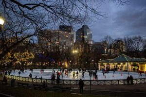 Prefix Boston Common Skate: Your Boston Guide! How to Skateboard: A Beginner's Guide to Your First Board & Tricks Prefix Boston Common Skate: Your Boston Guide! | How to Skateboard: A Beginner's Guide to Your First Board & Tricks